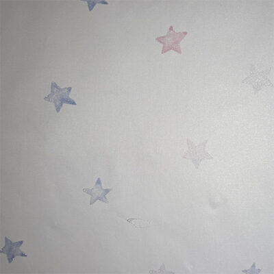 Papel Tapiz Boys&Girls B-G006