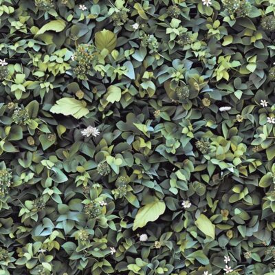 Papel Tapiz Botanique M891-04