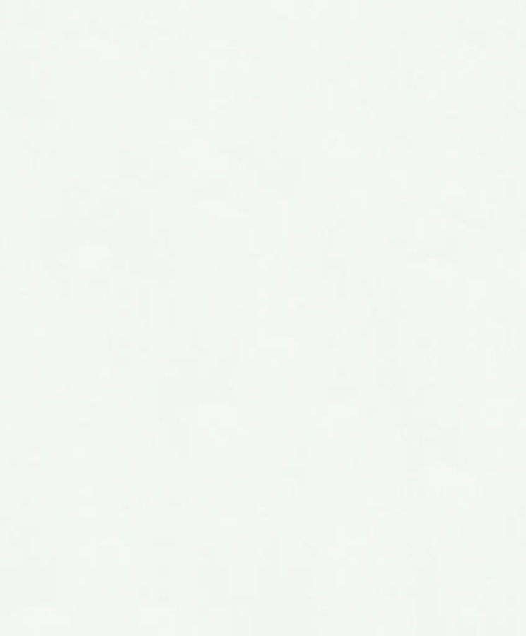 Papel Tapiz Whisper 36481